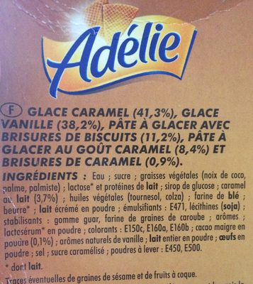 Glace caramel, glace vanille, pâte à glacer avec brisures de biscuits, pâte à glacer au goût caramel et brisures de caramel