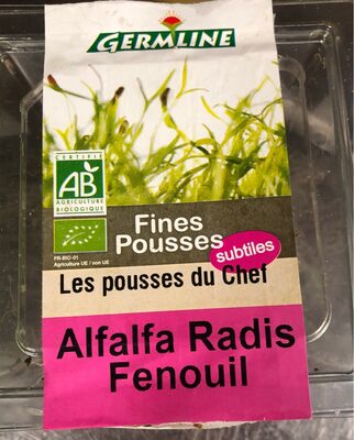 Alfalfa Radis Fenouil