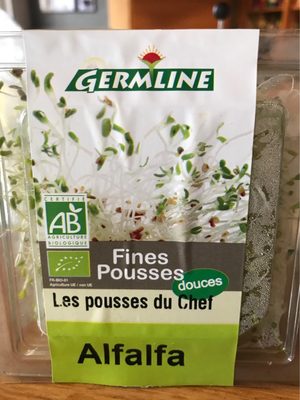 Alfalfa