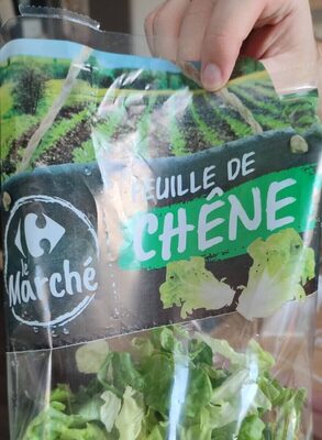 Feuille de chêne