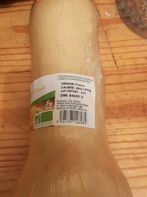 Butternut